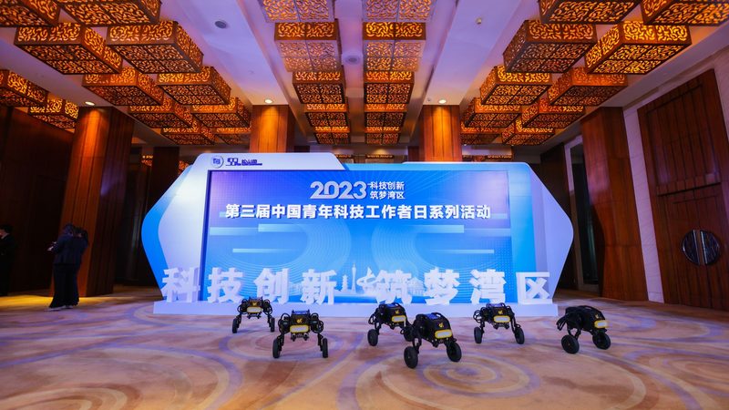 疫情数据可视化：参数配置的关键考量**